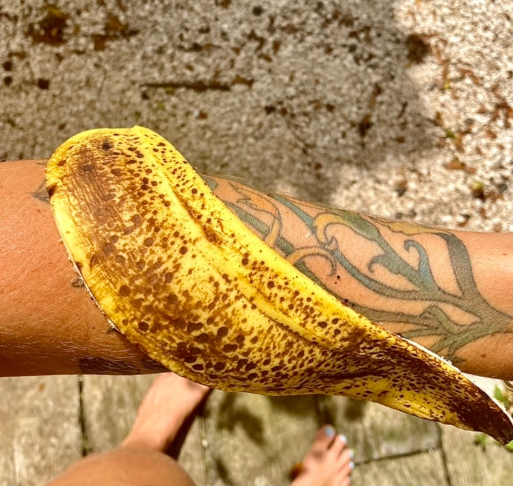 Pedestal Plant- Banana